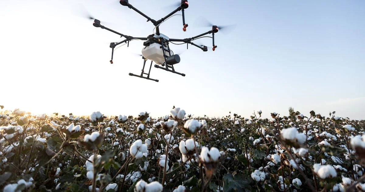 cotton farming with artificial intelligence