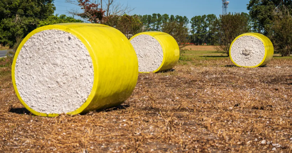 fall in cotton prices